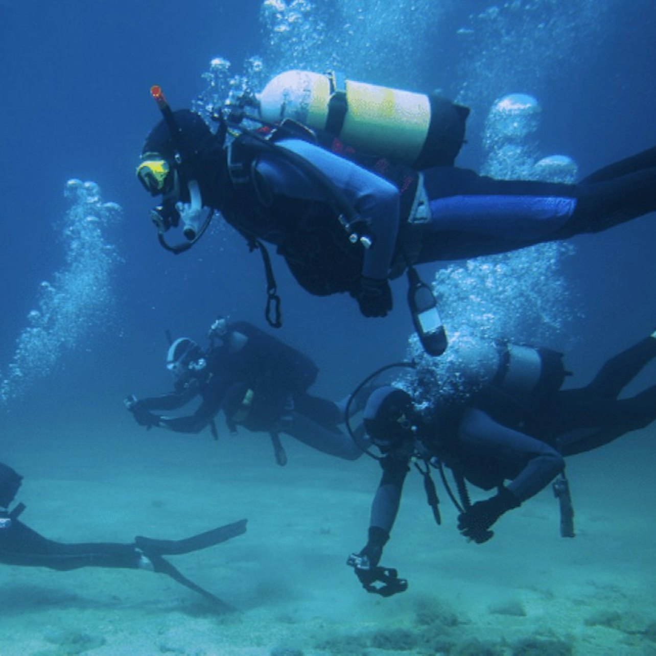 Explore the underwater world swimming alongside marine life and shipwrecks guided by expert instructors. This diving experience in Dubai offers something for every adventurer. Dive in and discover!